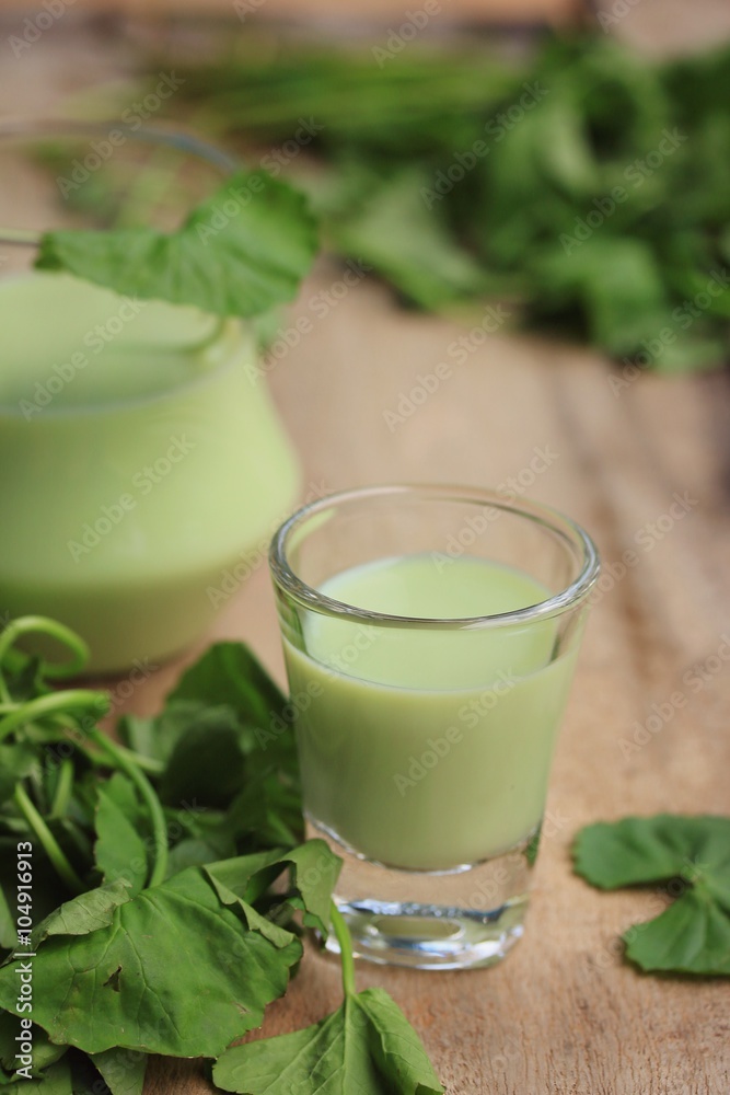 The asiatic with soybean milk The asiatic with soybean milk