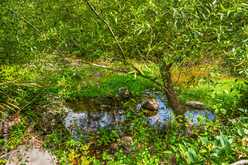 small creek in Sardinia