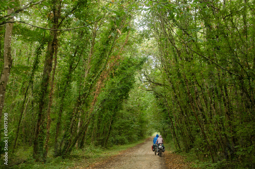 Loire Valley,FRANCE - circa August ,2015 : Bikers with panniers cycling through green forest.