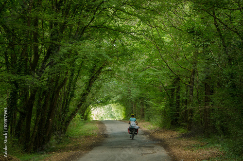 Loire Valley,FRANCE - circa August ,2015 : Biker with panniers cycling through green forest near Montbazon.