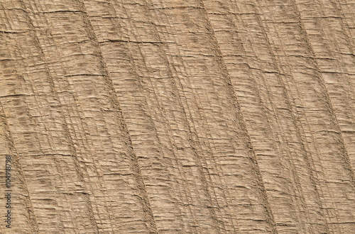 Wood texture for pattern and background