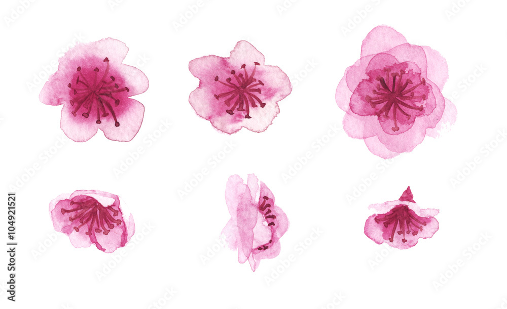 hand-drawn sakura flowers 