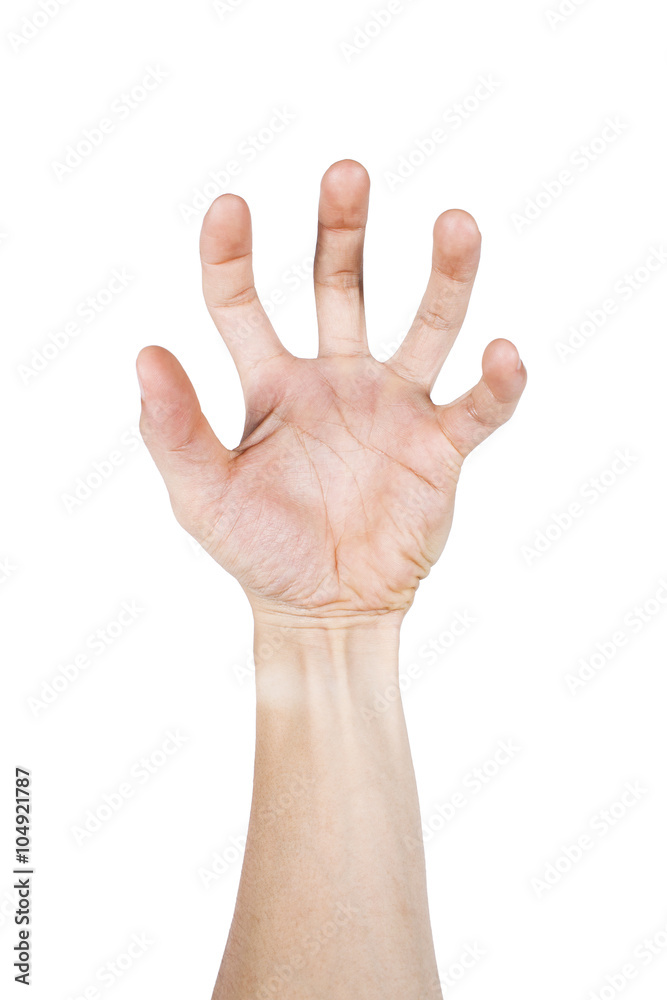 Open the palm of the hand and bent fingers isolated on white Open the palm of the hand and bent fingers isolated on white