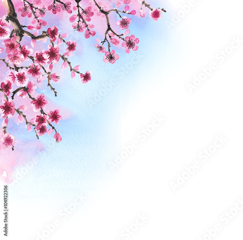hand-drawn branch of sakura