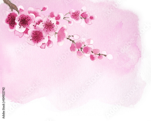 hand-drawn branch of sakura