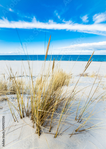 Beautiful sea landscape. Sandy beach and sand dune with grass.