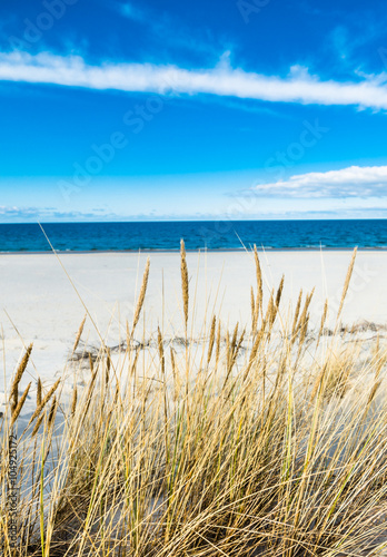 Beautiful sea landscape. Sandy beach and sand dune with grass