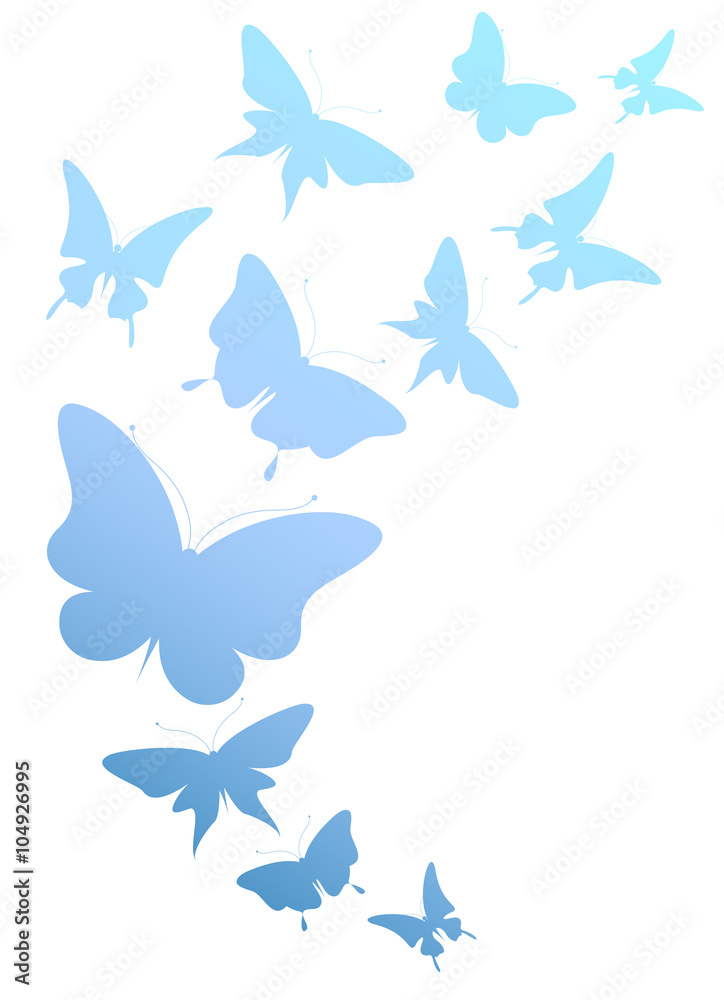 Fototapeta premium butterflies design