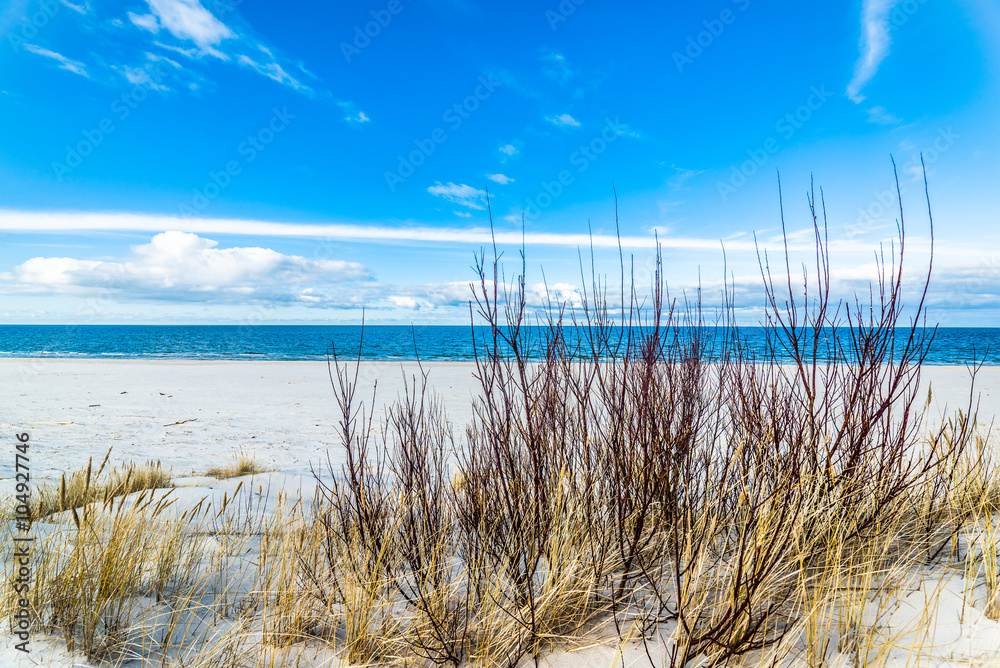 Beautiful sea landscape, sandy beach and sand dune with grass