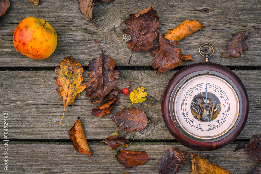 Barometer in the autumn