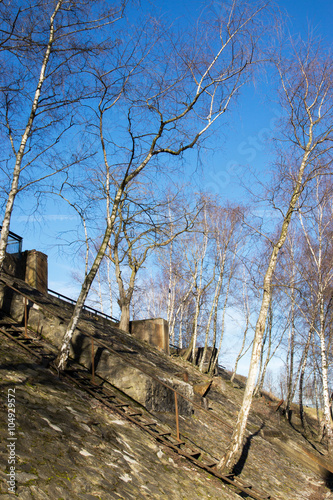 Bewachsener Steinwall an der Jahrhunderthalle in Bochum, Nordrhein-Westfalen photo