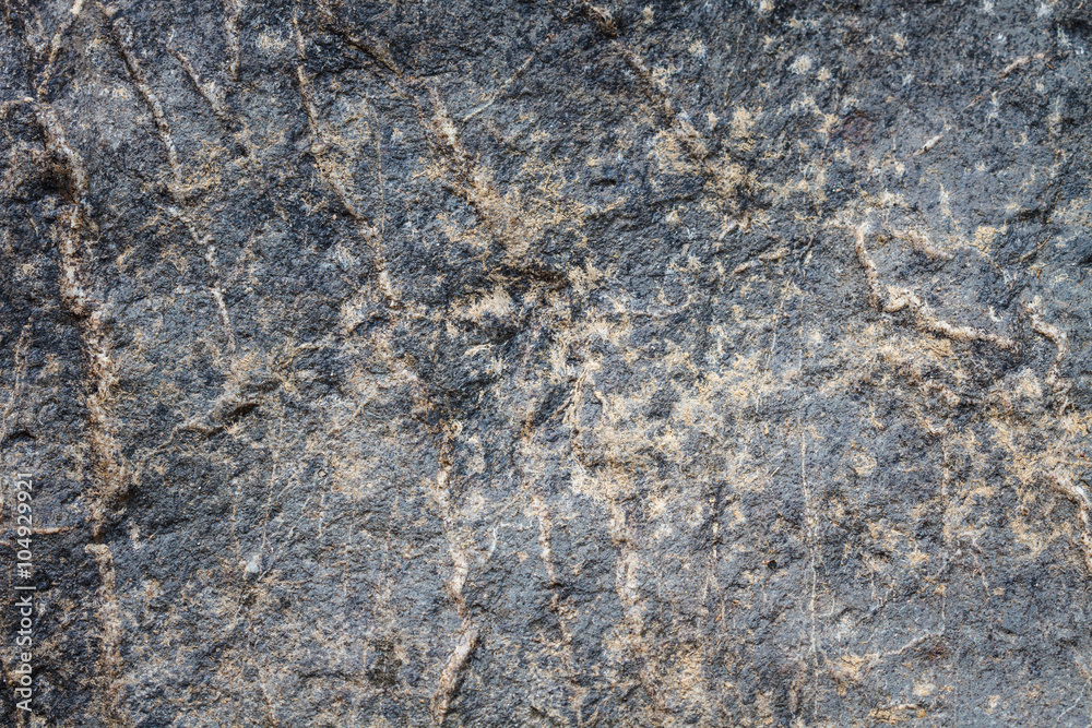 Obraz premium surface of the marble