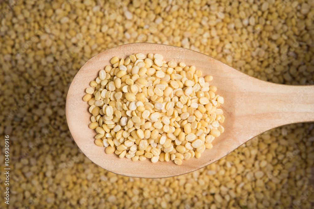 scoop of yellow beans seed on a blurry pile of yellow bean seed scoop of yellow beans seed on a blurry pile of yellow bean seed