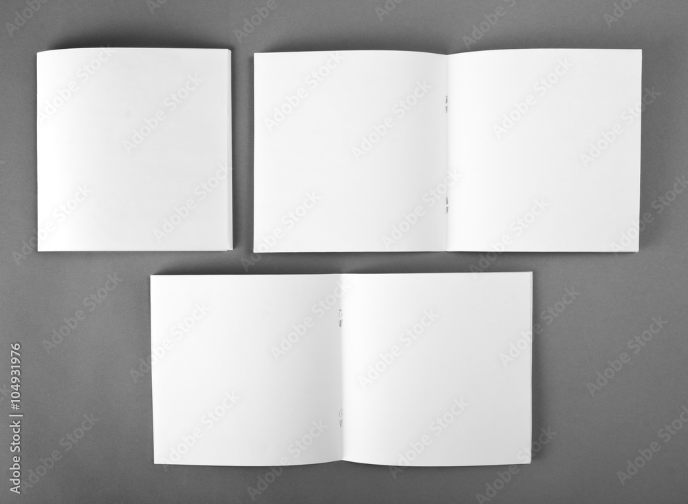 Blank opened magazine isolated on grey background with soft shadow Blank opened magazine isolated on grey background with soft shadow