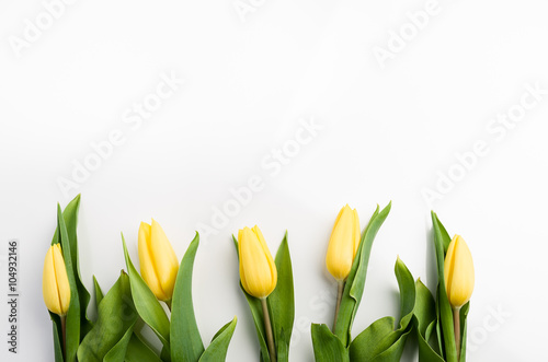 Fototapeta Naklejka Na Ścianę i Meble -  tulipany na białym tle