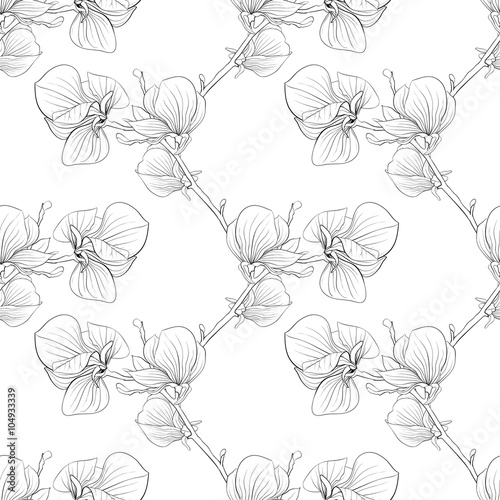 Beautiful monochrome, black and white seamless background with blooming magnolia tree branches