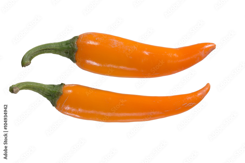 chilli peppers isolated on white background chilli peppers isolated on white background