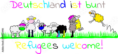 bunte Schafherde