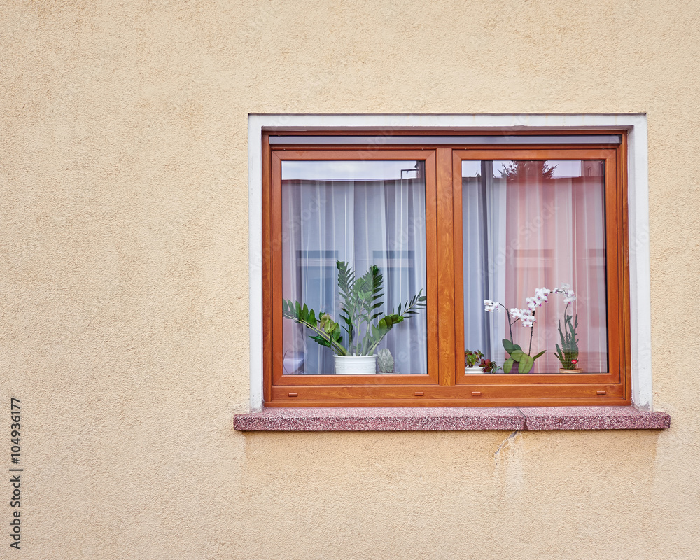window with flowers on ocher colored wall