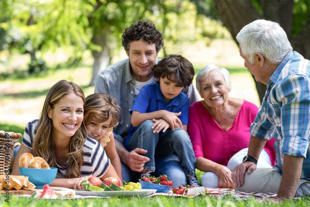 Smiling family having a picnic