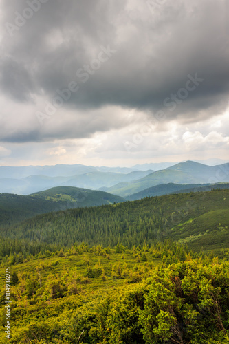 Summer landscape in Carpathian mountains  view from above. Ukraine