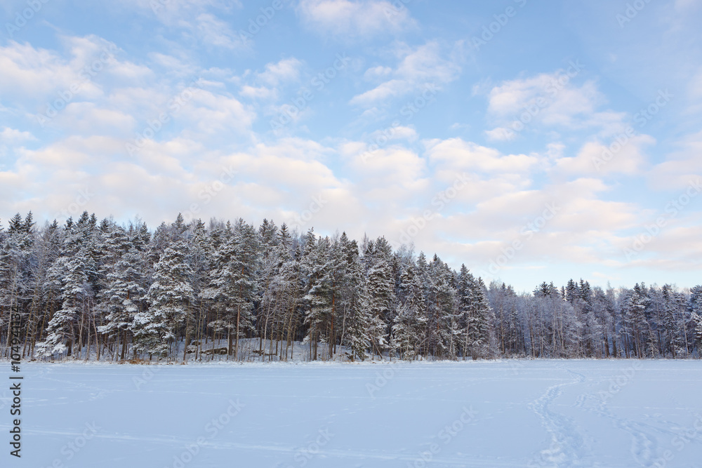 Frozen lake and snow covered forest Frozen lake and snow covered forest