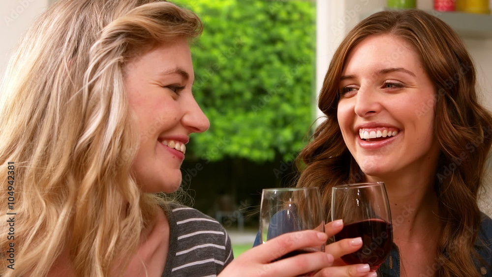 Smiling friends drinking red wine Smiling friends drinking red wine