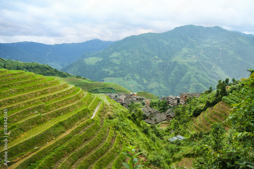 Longsheng rice terraces china
