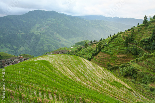 Longsheng rice terraces china photo