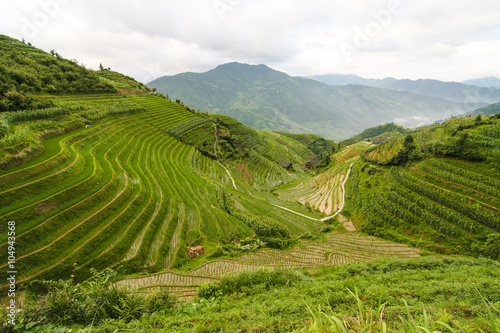 Longsheng rice terraces china