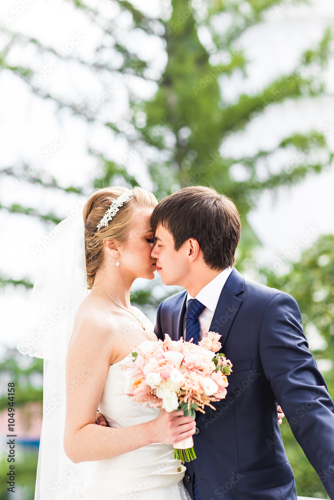 Wedding, Beautiful Romantic Bride and Groom Kissing Wedding, Beautiful Romantic Bride and Groom Kissing