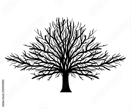 Tree doodle. 