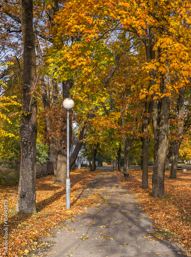 View on autumnal park in Dubulti -famous Baltic resort belonging to Jurmala city, Latvia   photo