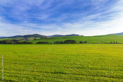 Spring beautiful landscape