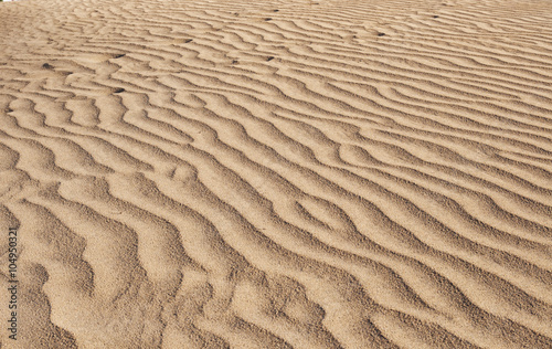 Fototapeta Naklejka Na Ścianę i Meble -  Maspalomas dunes in Gran Canaria