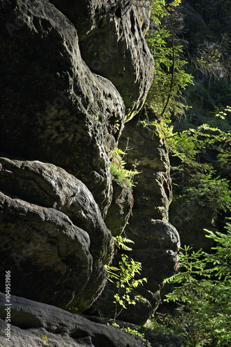  Adrspach-Teplice Rocks. Czech Republic
