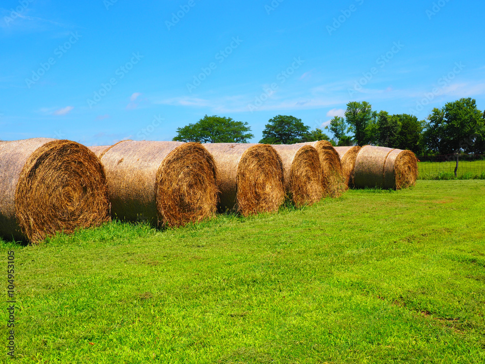 round rolled hay bale