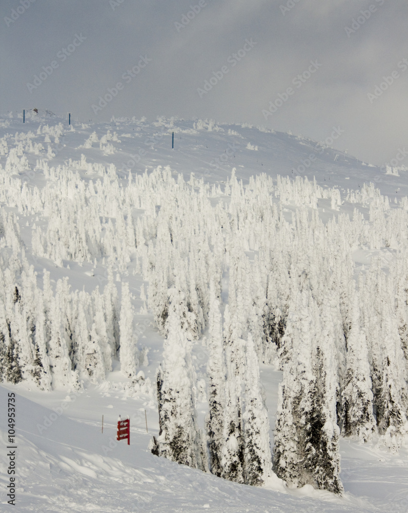 snow covered ski resort in winter
