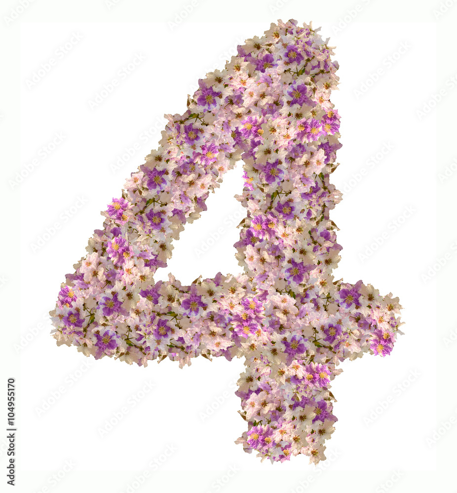 Numbers made of flowers isolated on white background Numbers made of flowers isolated on white background