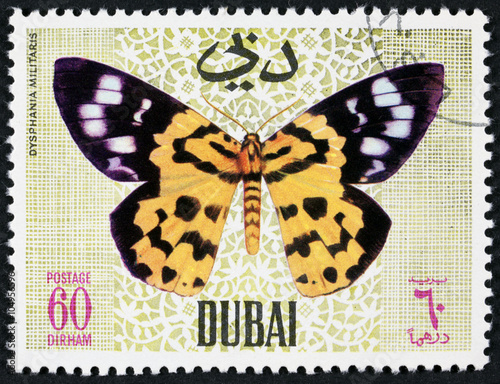 DUBAI - CIRCA 1968: A stamp printed by Dubai, shows Butterflyv, Circa 1968 photo