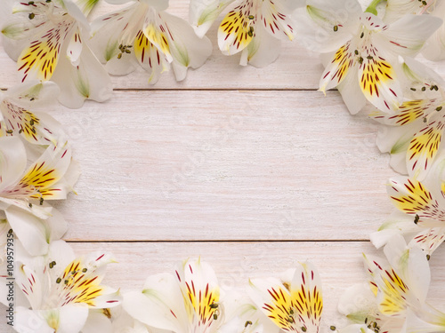 Frame of white and yellow alstroemeria flowers