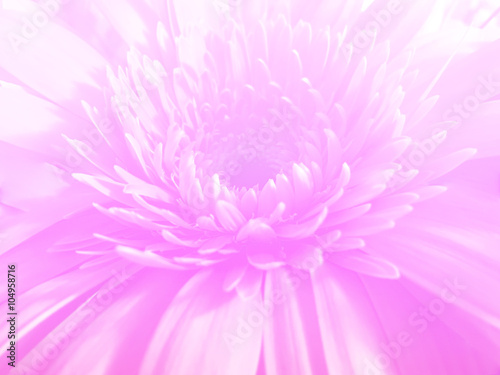 Flower made with color filter blur style for background