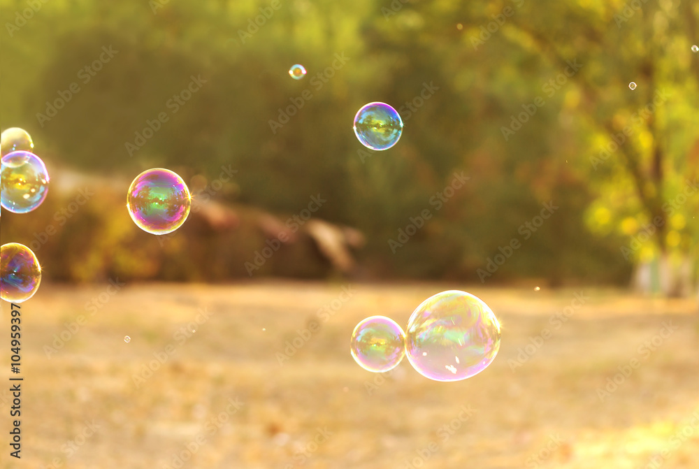soap bubble on the summer background . beautiful bokeh soap bubble on the summer background . beautiful bokeh