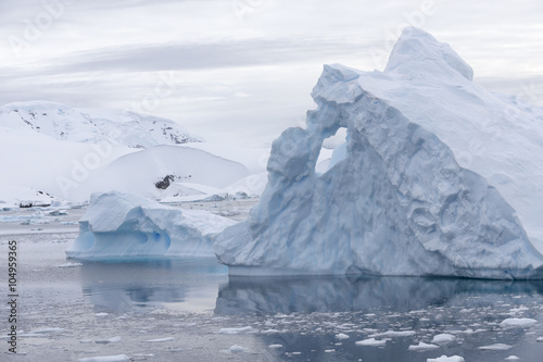 Iceberg at Curtis Bay, Antarctica.