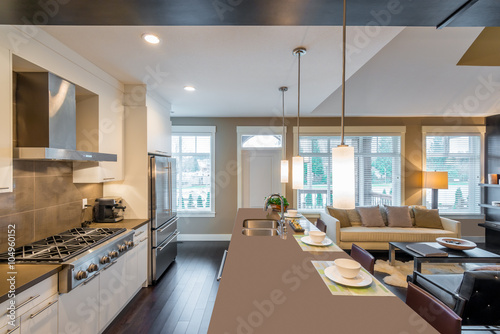 Modern, bright, clean, kitchen interior with stainless steel appliances in a luxury house © karamysh