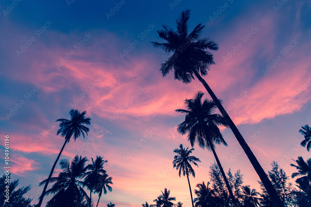 Silhouettes of palm trees against sunset sky.