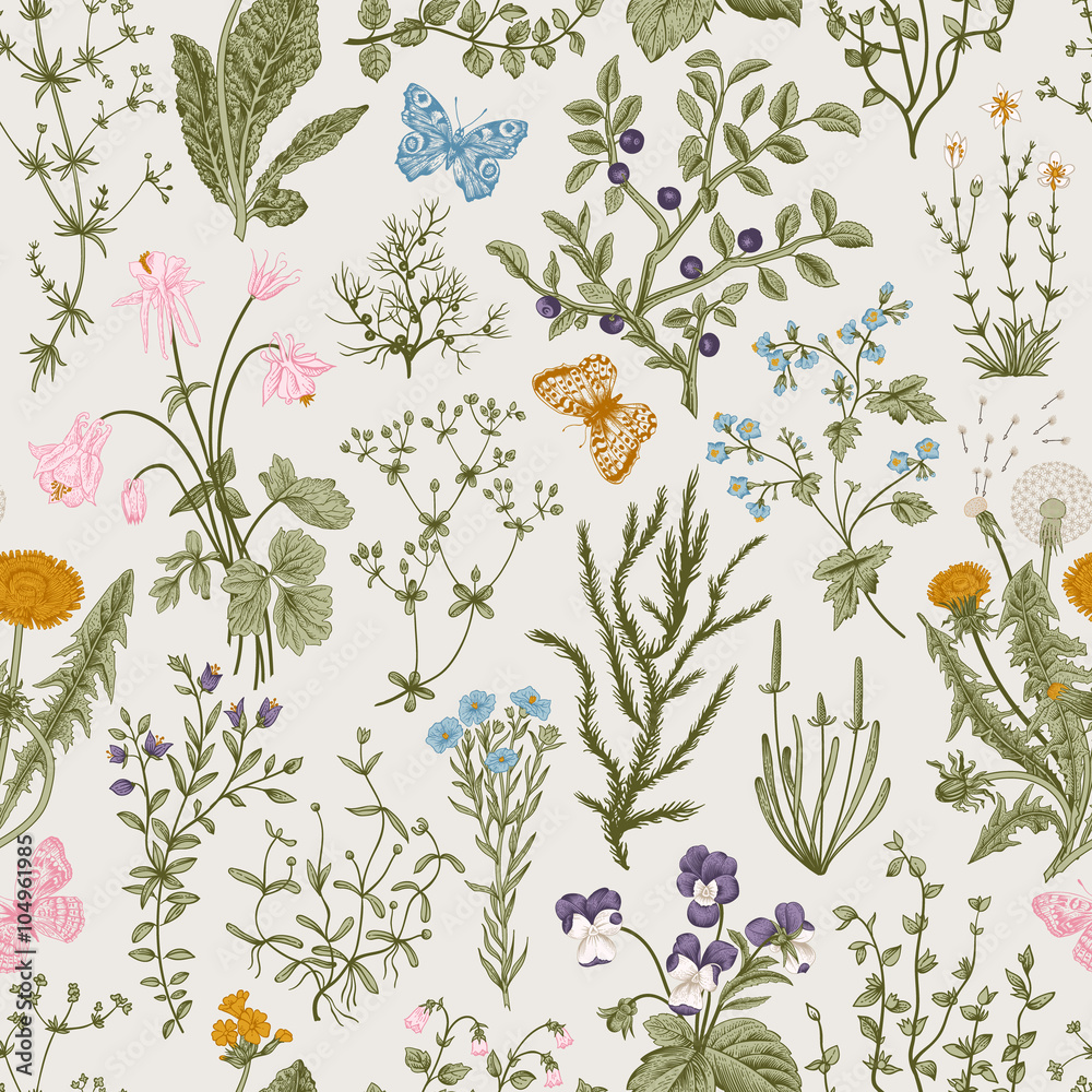 Obraz premium Vector vintage seamless floral pattern. Herbs and wild flowers. Botanical Illustration engraving style. Colorful