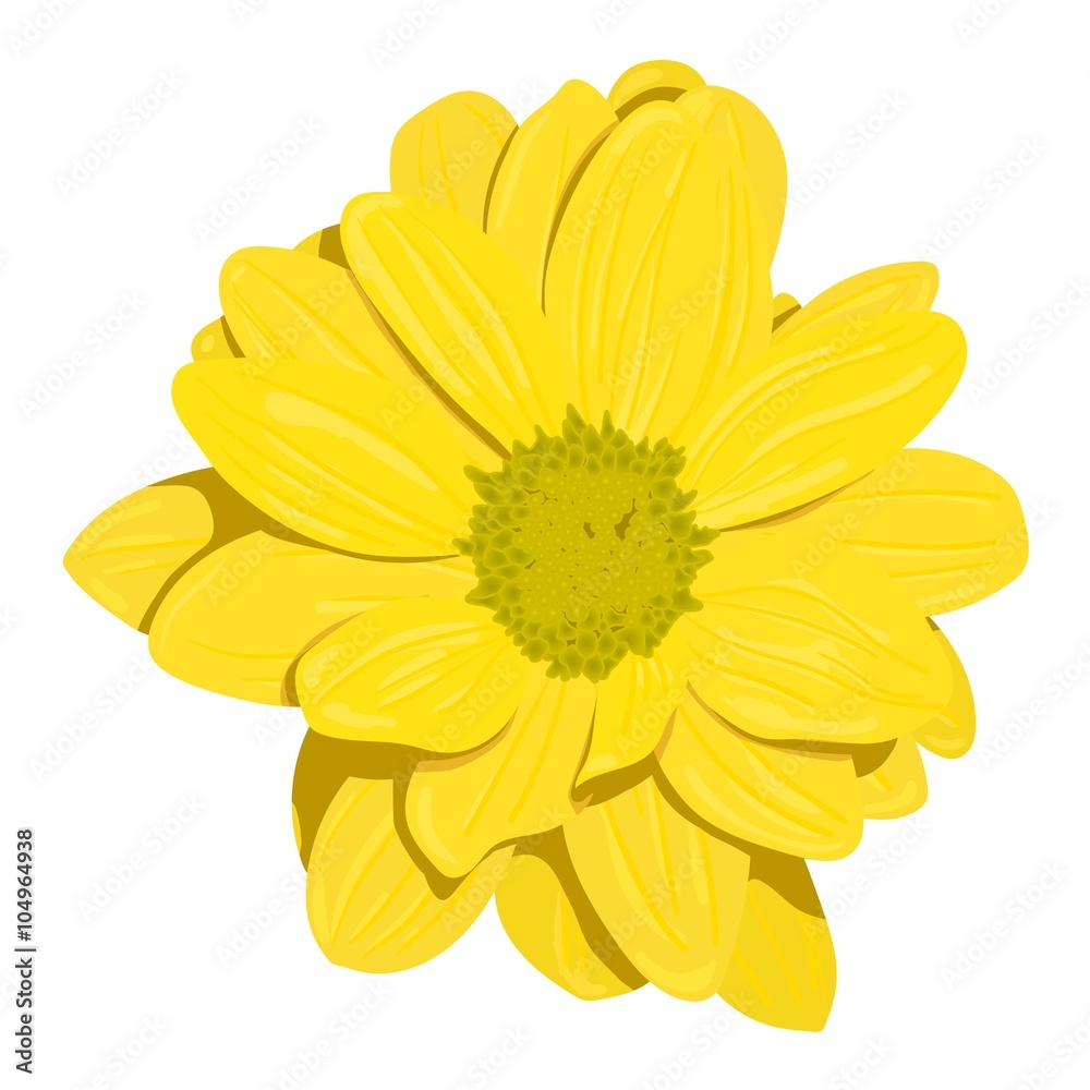 Simple yellow flower with shadow