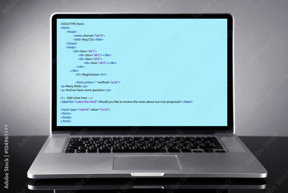 Programming code on laptop monitor Programming code on laptop monitor