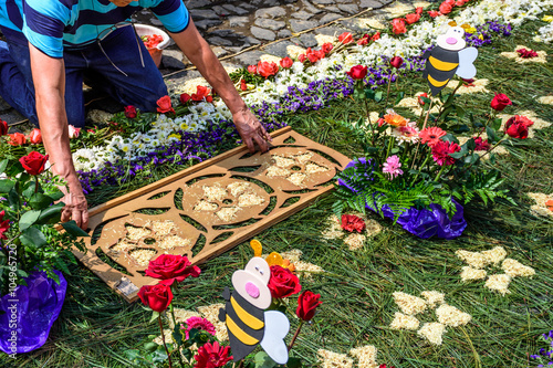 Decorating pine needle Lent carpet for procession, Antigua, Guatemala